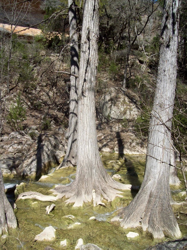 2010-03-12-Hamilton Pool-04.jpg